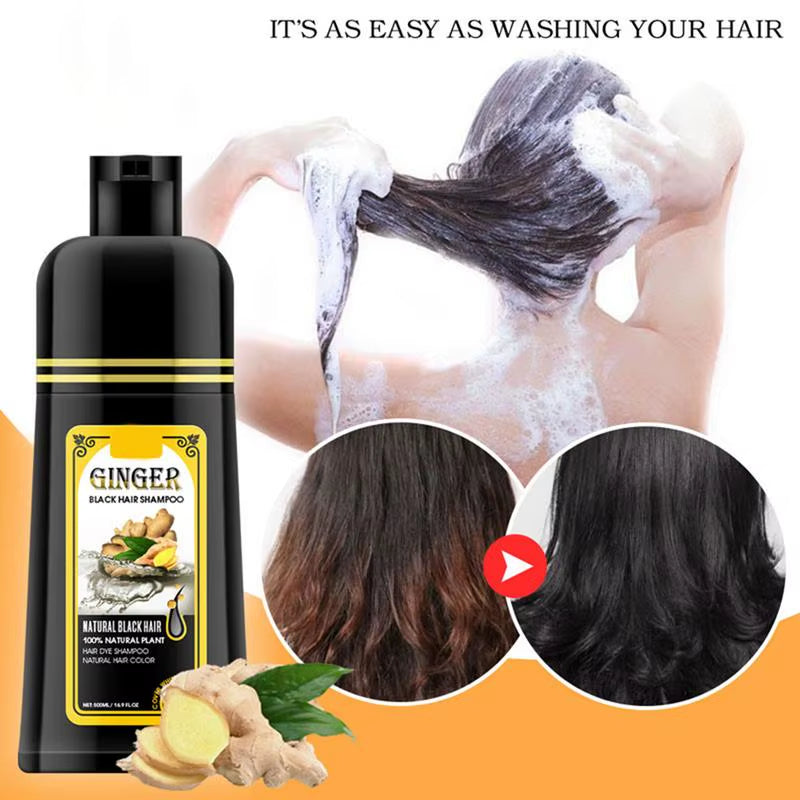 500Ml Herbal Hair Dye Black Hair Shampoo Black Hair Color Shampoo Black Hair Dye Covering White Hair Shampoo Ginger Shampoo